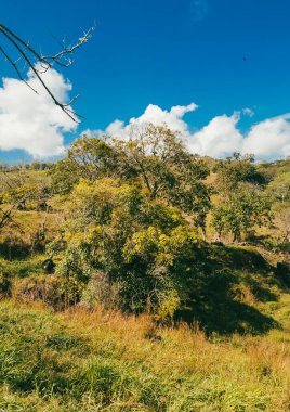 Cerro Tusa manzaralı doğal manzara ve mavi bir gökyüzü. Venedik, Antioquia, Kolombiya. 