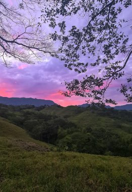 Pembe günbatımlı manzara ve Tamesis, Antioquia, Kolombiya 'da ağaçlar.
