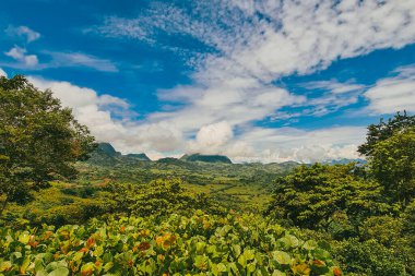 Panoramic view of Venice, Antioquia, and a view of Tusa Hill. Venice, Antioquia, Colombia.