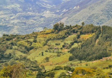 Tarlada bulutlu gökyüzü olan kırsal ve doğal manzara. Palomos Fredonia, Antioquia, Kolombiya.