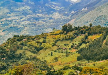 Tarlada bulutlu gökyüzü olan kırsal ve doğal manzara. Palomos Fredonia, Antioquia, Kolombiya.