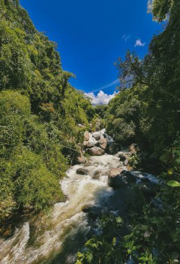 Cartama nehri ve dağlarıyla doğal manzara. Tamesis, Antioquia, Kolombiya.