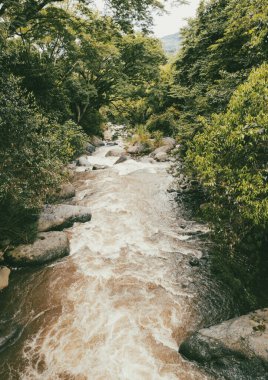 Tamesis, Antioquia 'da dağlar ve atlar manzaralı manzaralar. Kolombiya.