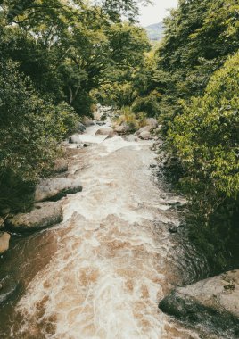 Tamesis, Antioquia 'da dağlar ve atlar manzaralı manzaralar. Kolombiya.