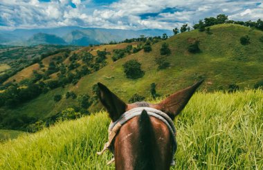 Tamesis, Antioquia 'da dağlar ve atlar manzaralı manzaralar. Kolombiya.