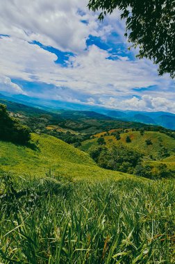 Tamesis, Antioquia 'da dağlar ve atlar manzaralı manzaralar. Kolombiya.