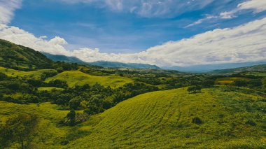 Tamesis, Antioquia 'da dağlar ve atlar manzaralı manzaralar. Kolombiya.