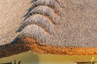 Antik Orta Avrupa sazdan yapılmış bambu benzeri çatı yapısı, eskimiş kahverengi doku, dalgalı yansıtıcı yüzey, yumuşak ışıklandırma, ortam parıltısı, boş sahne, biraz gelişmiş perspektif,