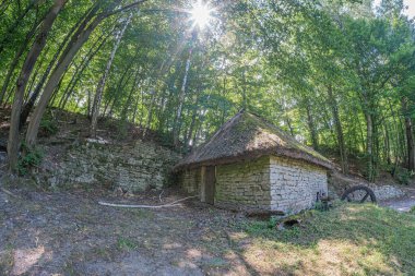 Süzgeçli güneş ışığı altındaki yemyeşil, tepelik Orta Avrupa köyünde sazdan çatılı sakin bir taş bina.