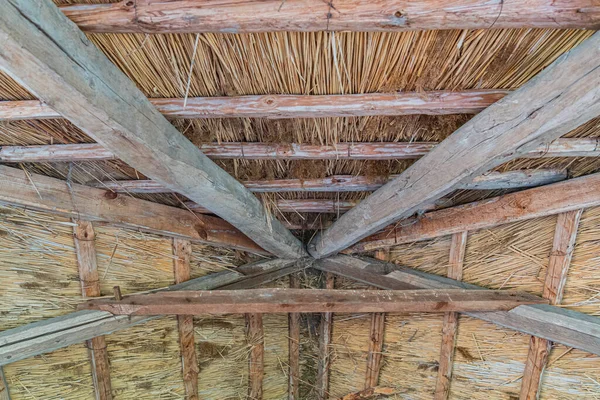 Antik Orta Avrupa köyünün içi, sazdan çatı yapısı ahşap kirişler, kafes tavanı, muhtemel taş ya da aşınmış ahşap döşeme, dikey ve yatay ahşap duvarlar, doğal yayılma