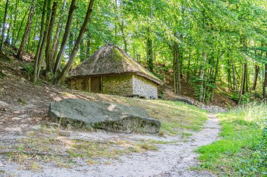 Orta Avrupa 'nın eski bir orman köyü olan çakıl yolu, bereketli yeşillik, sık ağaçlar, yumuşak ışıklandırma, yeşil, kahverengi, gri renk paleti, gerçekçi bir tarz, insan önsezisi yok.