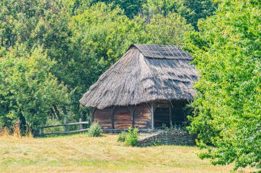 Eski bir Orta Avrupa köyünde sazdan çatılı, yeşil yeşillik ve taş bir duvarla çevrili tuhaf bir ahşap kulübe. Ahşap çit ön plandaki doğal gerçekçiliği kısmen gizliyor.