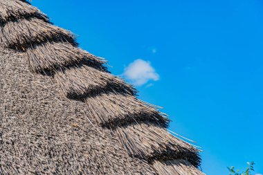 Tropikal, Orta Avrupa köyü, sazdan çatı yapısı, kurumuş çimenler, katmanlı çatı, açık mavi gökyüzü, güneşli gün, ön giriş veya pencere alanı, doğal renkler, yumuşak aydınlatma, gölgeli, geç kalma