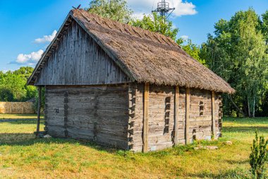 Çimenli alanda sazdan çatılı eski ahşap kulübe, ağaçların arasında geçiyor, gün ışığı.