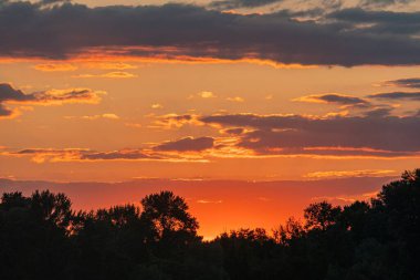 Gün batımında ağaçlarla kaplı manzara serin renk gradyanı, dağınık bulutlar, yumuşak ışıklandırma, sakin ruh hali, yapay yapı yok, gerçekçi stil, düşük açılı çekim ya da alacakaranlık yayılan ışık