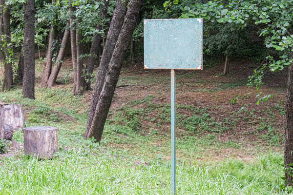 Спокойная лесная сцена, выветривающийся указатель в пышном зеленом лесу с пышными тенями, голубое небо видно над линией деревьев, никакой человеческой деятельности