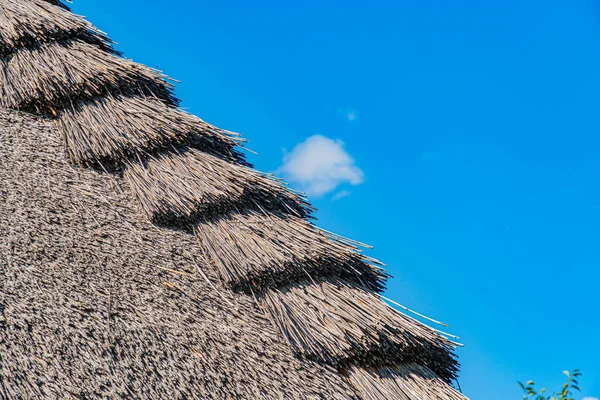 Tropikal, Orta Avrupa köyü, sazdan çatı yapısı, kurumuş çimenler, katmanlı çatı, açık mavi gökyüzü, güneşli gün, ön giriş veya pencere alanı, doğal renkler, yumuşak aydınlatma, gölgeli, geç kalma