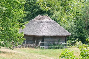Eski bir Orta Avrupa köyünde sazdan çatılı ahşap bir kulübe, etrafı çit ve çitlerle çevrili, çimenli alanlar, yeşil ağaç tepe örtüsü, gündüz aydınlığı