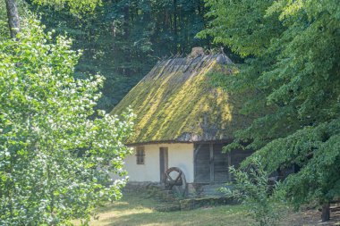 Orta Avrupa 'da eski bir köyde sazdan yapılmış ahşap bir kulübe. Sahne yemyeşil ve yaprakların arasından süzülen yuvarlak bir güneş ışığı çarkı ile çevrili.