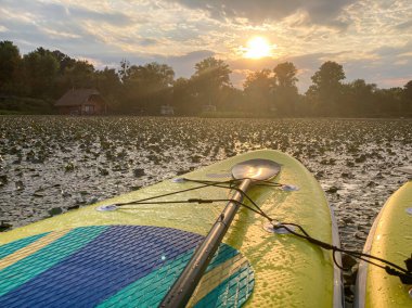 Gün batımında kanolar su üzerinde parlak renkli kanolar sarı, küreklerle mavi durgun arka plandaki insan yerleşimi ya da kayıkhane sakin doğal manzara yeşillik ve savaş