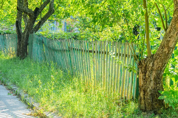 Eski Orta Avrupa köyü bahçe alanı sahnesi, yemyeşil ve yapraklı ağaçlar, eğimli ahşap çitler, temiz gün ışığı, yumuşak gölgeler, kısmen karanlık pencereli bina veya cam panel