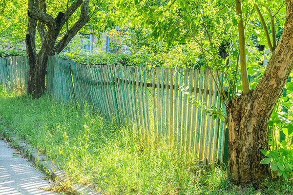 Старинная центральноевропейская деревенская сцена в саду, пышная зелень и лиственные деревья, наклонный деревянный забор для пикета, ясный дневной свет, мягкие тени, частично скрытое здание с большими окнами или стеклянной панелью