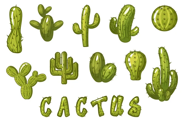 Big Set desenho animado cacto mexicano, texto texturizado engraçado CACTUS —  Vetores de Stock