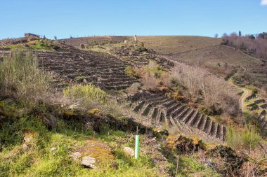 İspanya 'nın Aguilar plajında sakinlik ve huzur