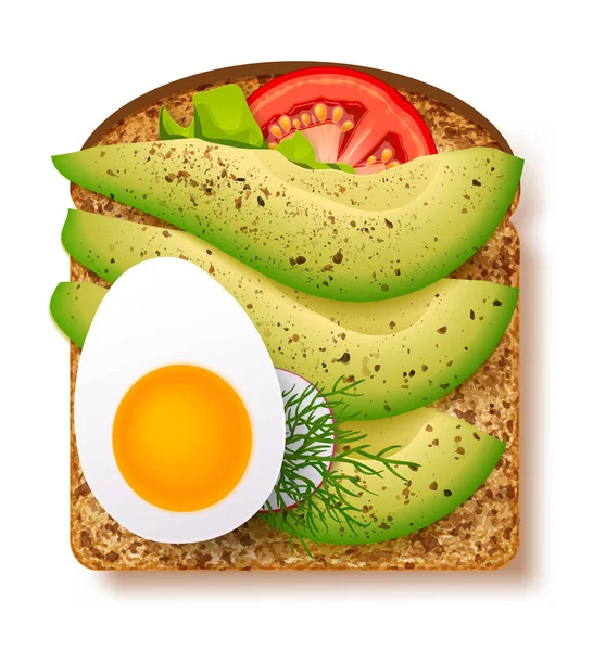 Avocado Toast Mit Frischen Scheiben Reifer Avocado Gewürzen Und Dill — Stockvektor
