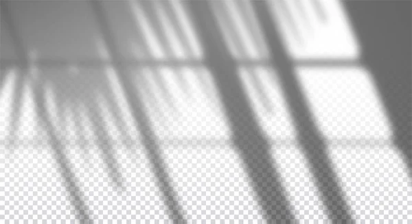 La sombra realista transparente de la ventana con la rama de palma en la pared, el efecto de la superposición para la foto, la presentación del diseño. Ilustración vectorial — Archivo Imágenes Vectoriales