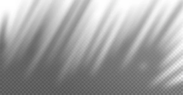 Ombre portée transparente réaliste sur un mur, effet de superposition de branches de palmier exotique pour photo, présentation design. Illustration vectorielle — Image vectorielle