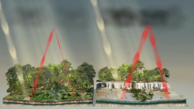 Ormanların tahrip edilmesi: Ormanların tahrip edilmesi ekosistemleri bozar, biyolojik çeşitliliğin kaybına, toprak erozyonuna, değişen yağış şekillerine ve artan sera gazı emisyonlarına yol açar.