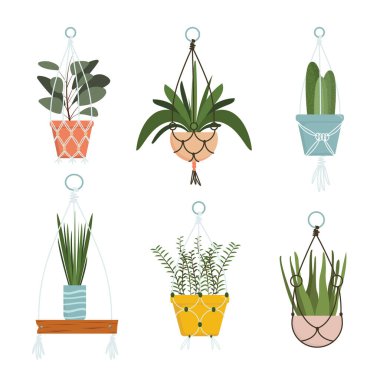 Çizgi film tarzında örgü örülü saksılarda ev bitkileri. Farklı tipte çiçek saksıları için beyaz arka planda izole edilmiş güzel makrome askıların vektör çizimi. Asılı jüt askıları.