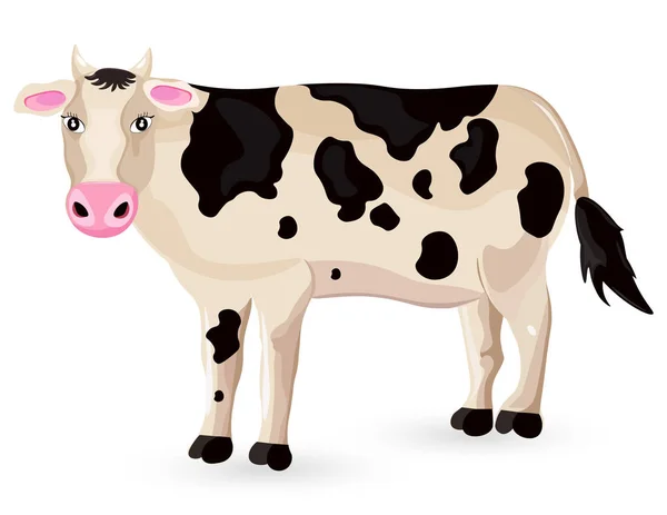 Vaca isolada em Vector branco. Personagem de desenhos animados ilustrações detalhadas —  Vetores de Stock