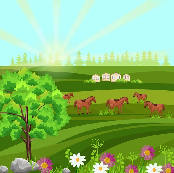 グリーン フィールド ベクトルの馬。ファーム ヴィル日当たりの良い夏の日の背景 — ストックベクタ