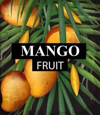 Mango kartı arka plan. 3d ayrıntılı çizimler büyüyen meyve olgun hasat