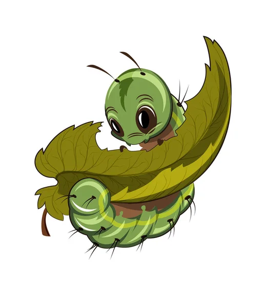 Firma Caterpillar jedzenie liść wektor. Ilustracje kreskówka — Wektor stockowy