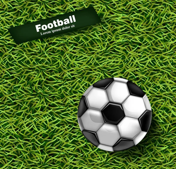 Fotbalové zelené trávě pozadí vektor. Realistické 3d koule detailní ilustrace — Stockový vektor