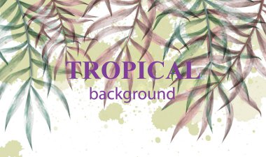 Suluboya tropic palm vektör yaprak. Yaz extotic arka planlar