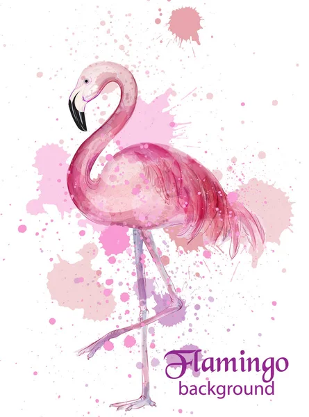Vintage Flamingo suluboya kartı vektör. El tasarım dekorlar yapımı