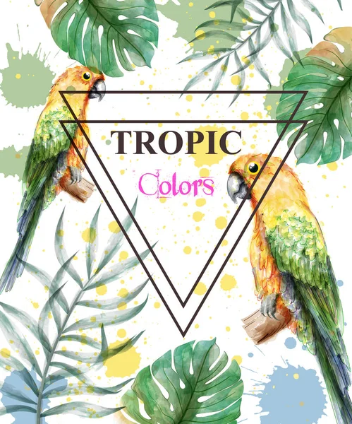 Paraíso tropical con loros acuarela y hojas de palma fondo de la tarjeta Vector — Vector de stock