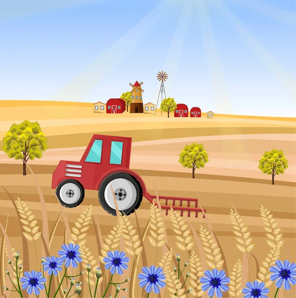 Traktor na farmě vektorové ilustrace. Pšeničné pole stonku. Provence sklizeň pozadí — Stockový vektor