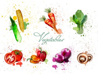 Suluboya sebze vektör ayarlayın. Lezzetli domates, mantar ve yeşil yaprakları