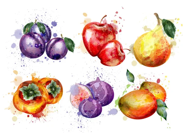 Aquarell Früchte Set Vektor. Kompositionen aus Apfel, Pflaume, Birne — Stockvektor