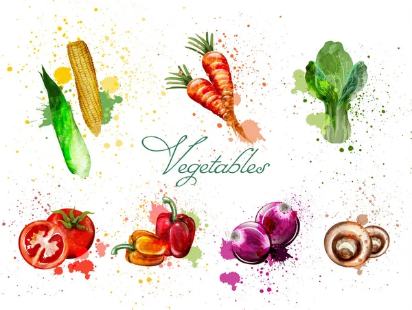 Set di verdure ad acquerello Vector. Deliziosi pomodori, funghi e foglie verdi — Vettoriale Stock