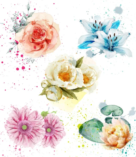 Prachtige bloemen-aquarel instellen Vector Blauwe lelie, gerber en rozen bloemen collecties — Stockvector