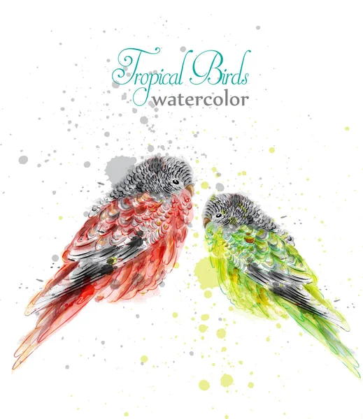 Piccoli uccelli in acquerello vettoriale. Tropico colorato simpatici pappagalli — Vettoriale Stock