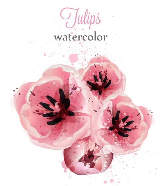 ピンクのチューリップ水彩画カード ベクトル。繊細な美しい花の装飾 — ストックベクタ