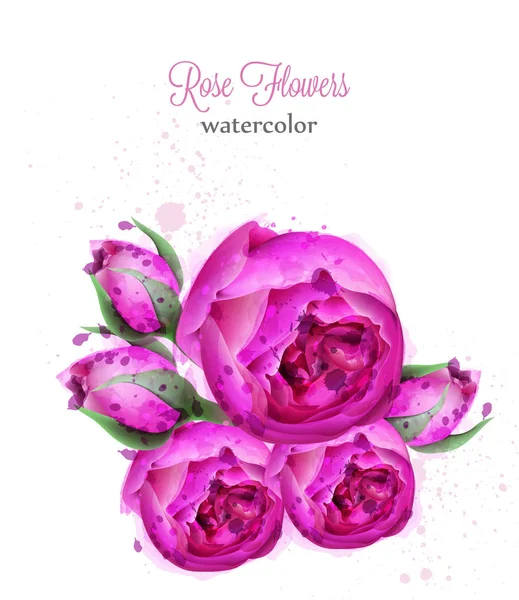 Rózsa virágok koszorút akvarell vektor kártya. Szép virágzó virágok fehérek elszigetelt dekorok — Stock Vector