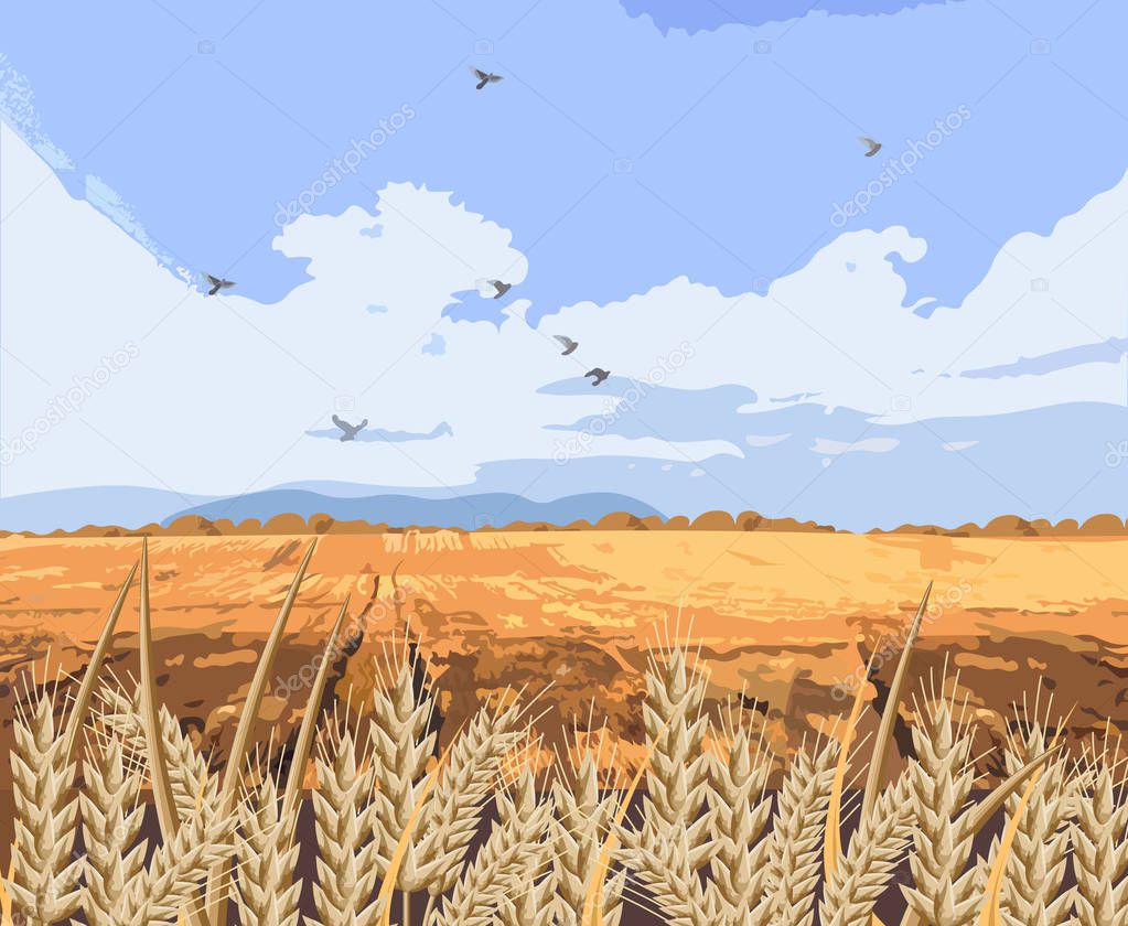 Wheat field Vector background. Beautiful fall season cards